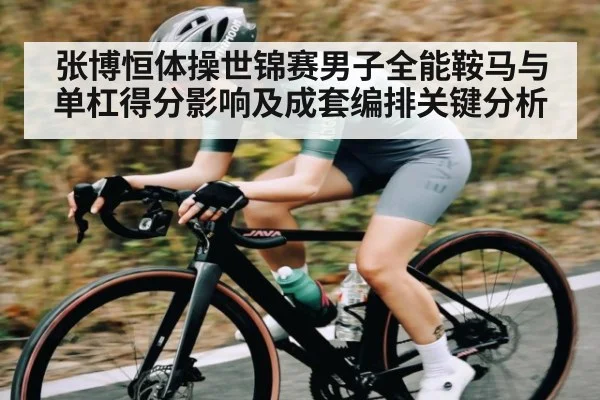 张博恒体操世锦赛男子全能鞍马与单杠得分影响及成套编排关键分析