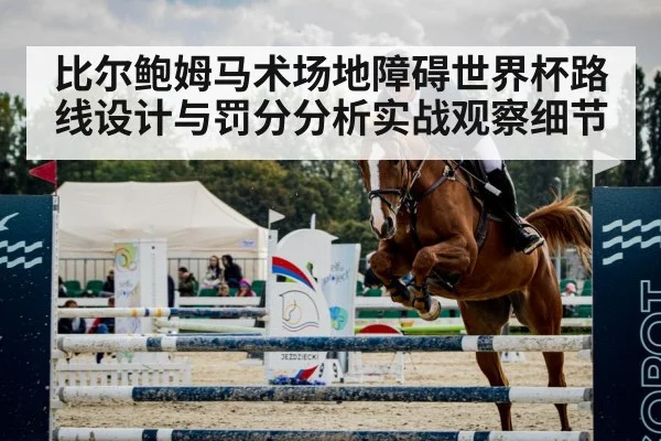 equestrian show jumping horse obstacle